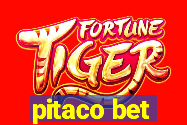 pitaco bet